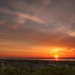 The View From Estuary View!